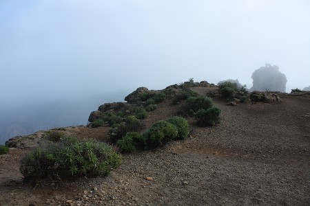 "Death behind the bushes" ©2014 Jimmie Olsson